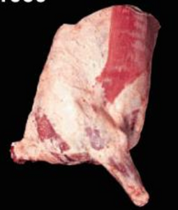 Forequarter of Beef